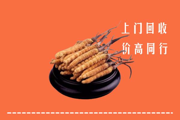 昌吉州吉木萨尔县回收散虫草